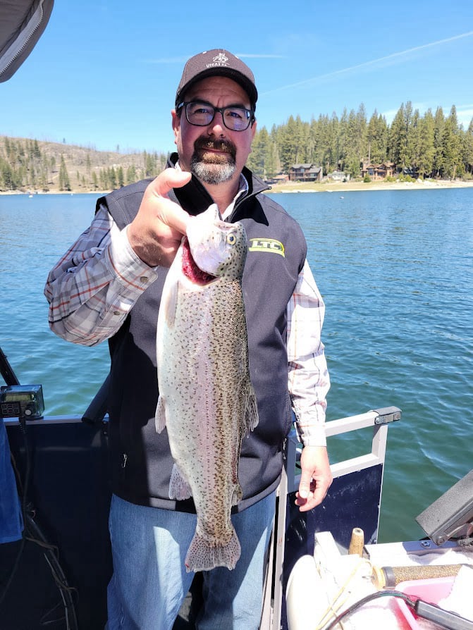 Shaver Lake Rainbow Trout